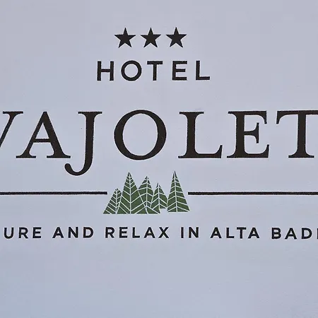 Otel Vajolet San Cassiano (Badia)